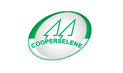 cooper